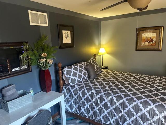 Quiet And Spacious Room1 Bolingbrook Extérieur photo
